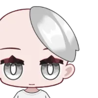Hair Front L_009